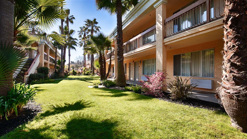 Фото Best Western Palm Court Inn