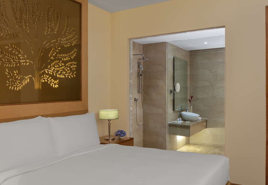 Фото Radisson Blu Hotel, New Delhi Dwarka