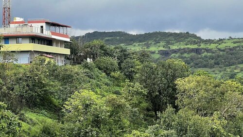 Nature Nest Resort