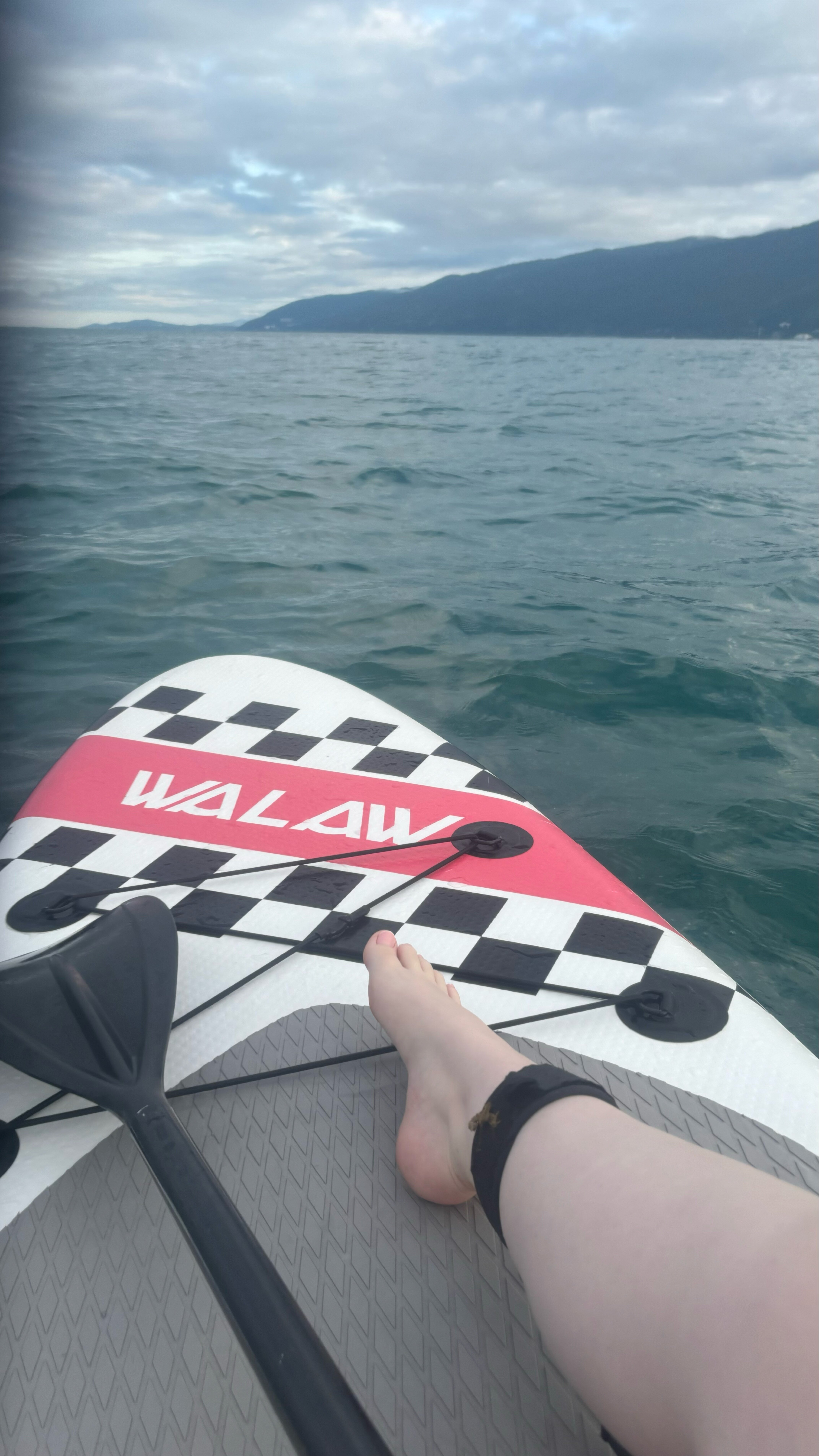 Фото Орхидея