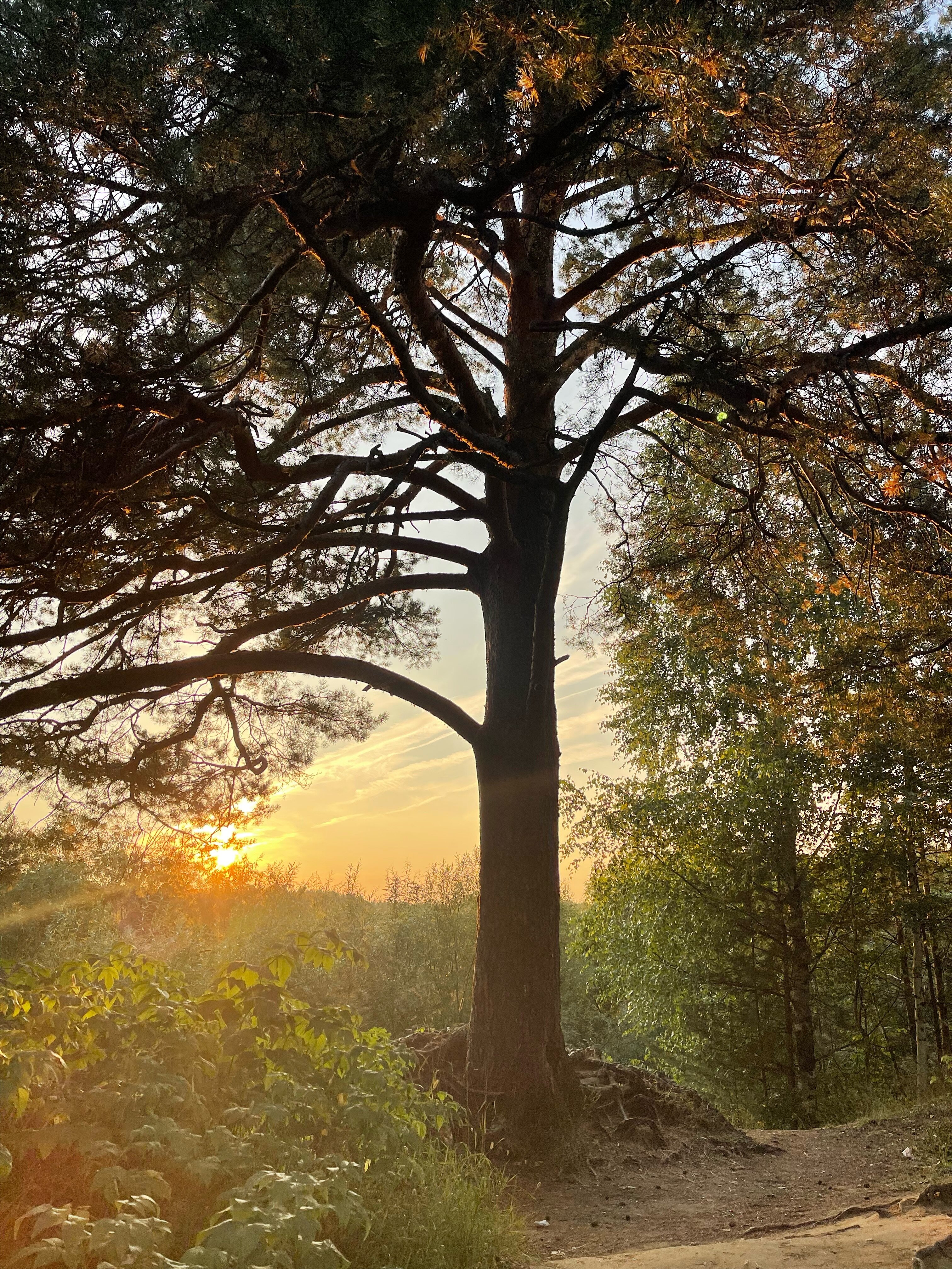 Фото Вишера