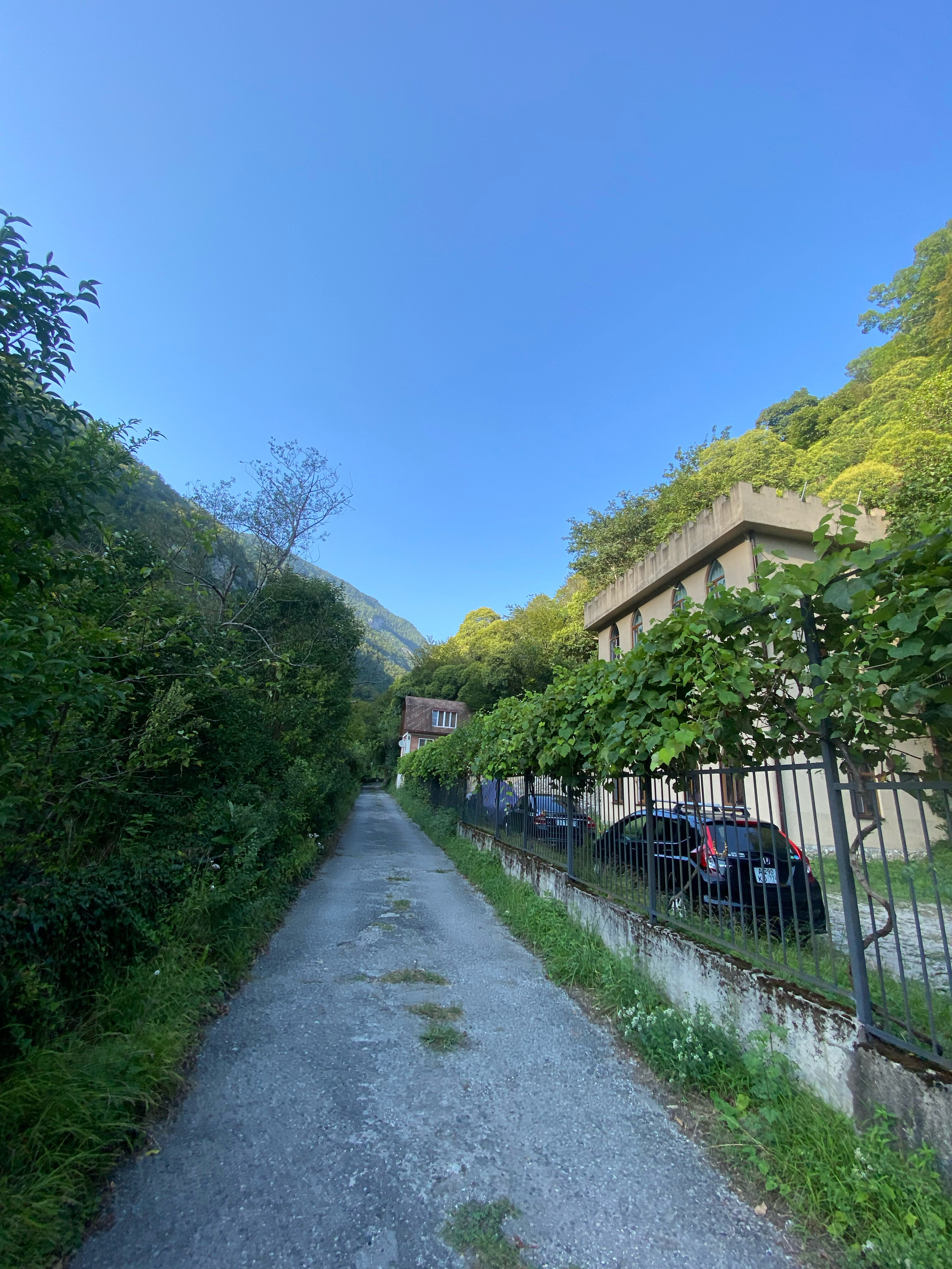 Фото Гостевой дом Старая Гагра