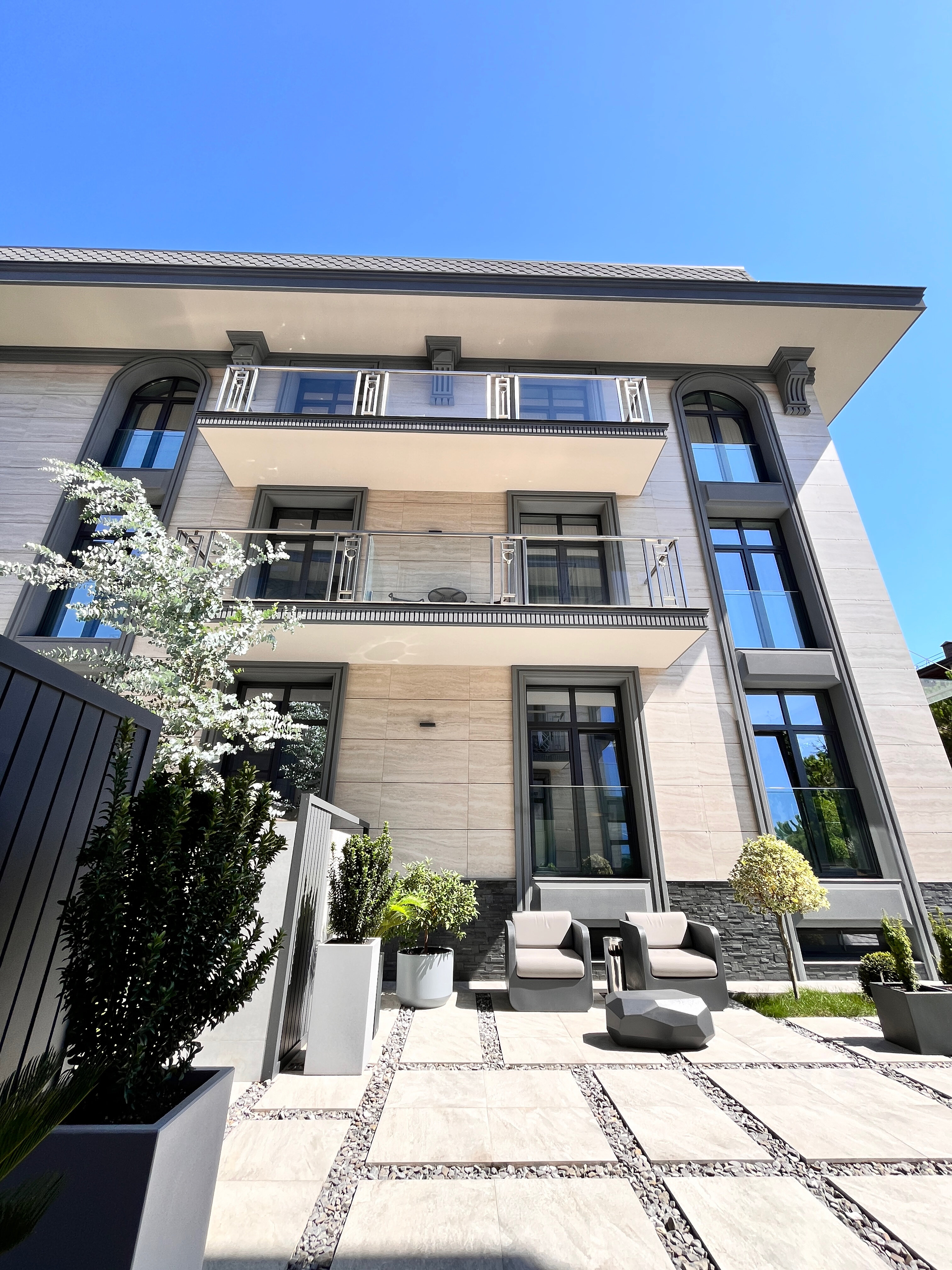 Фото Две оливы