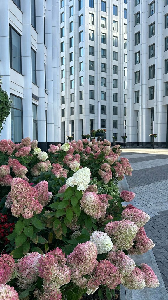 Business center Aquamarin, Moscow, photo