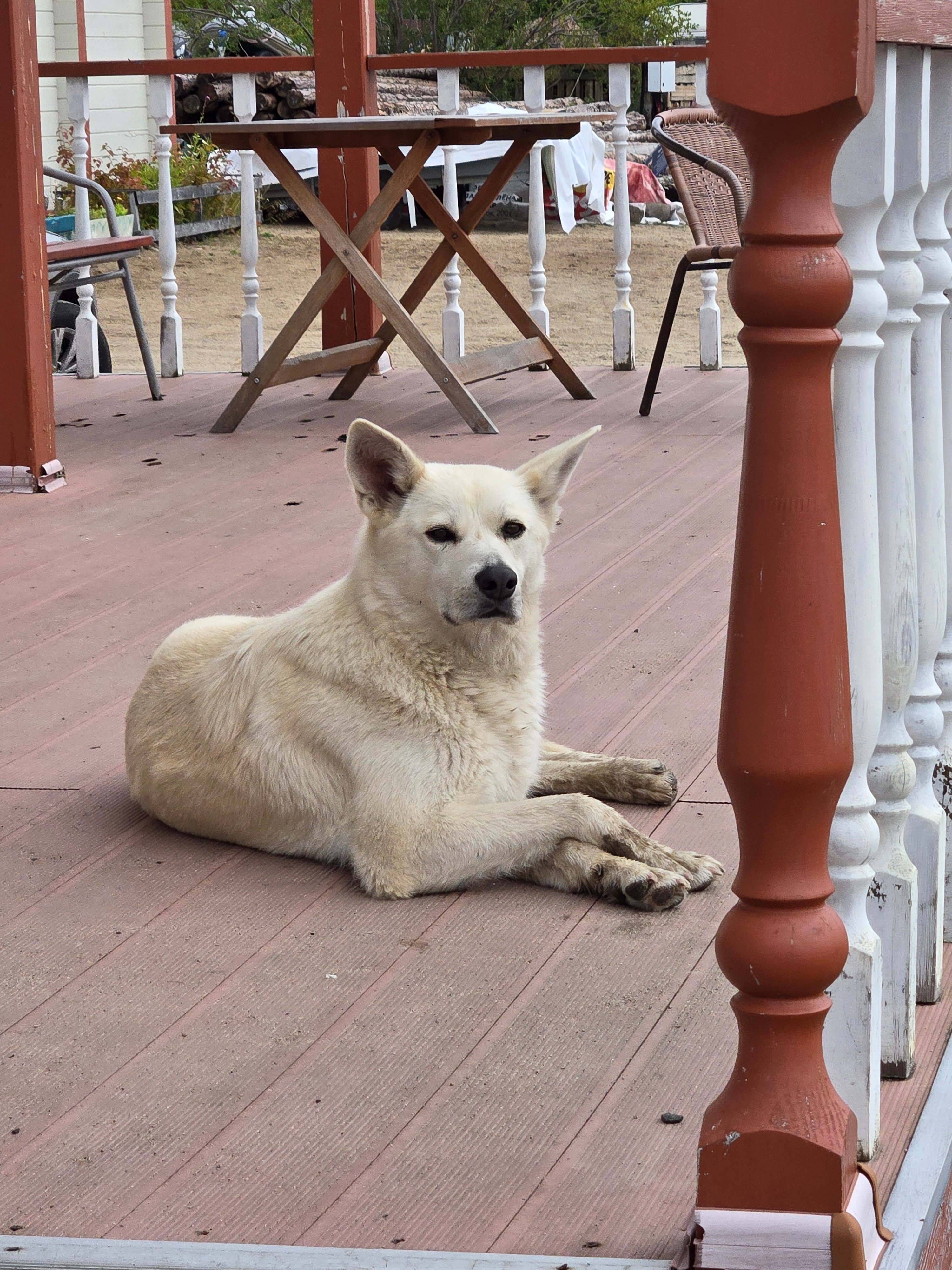 Фото Баренц