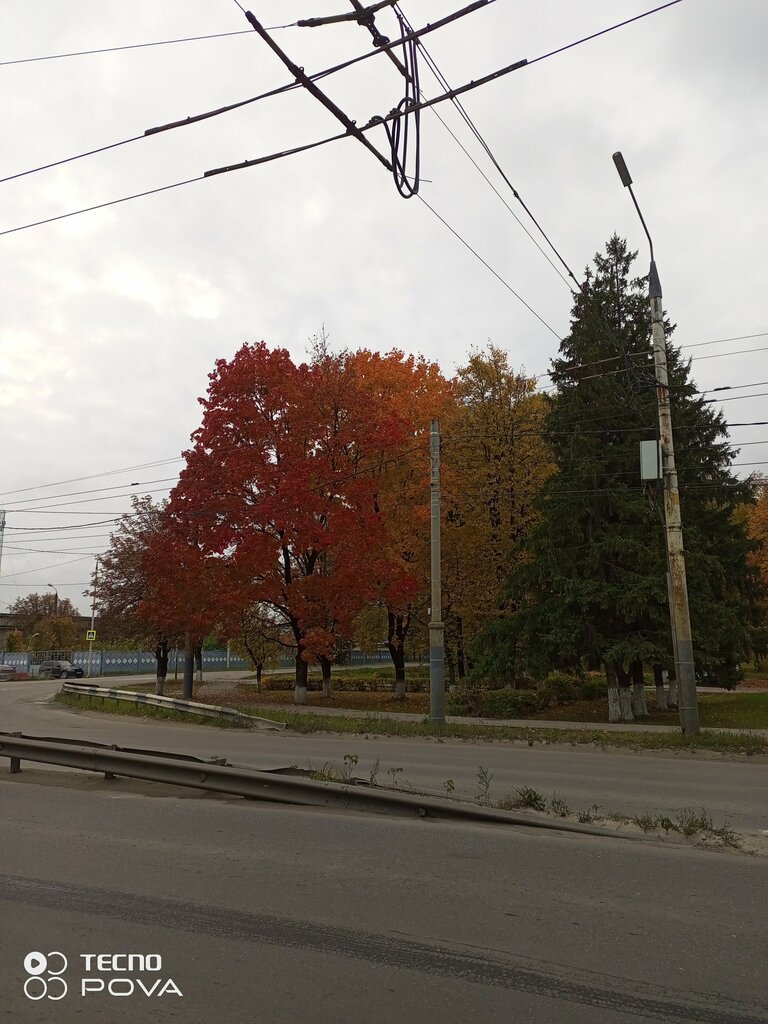 Park сквер Металлургов, Bryansk, photo
