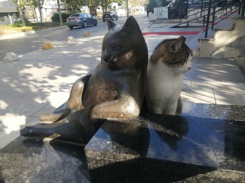 Eng gozal ukrainalik ayol bilan jinsiy aloqa