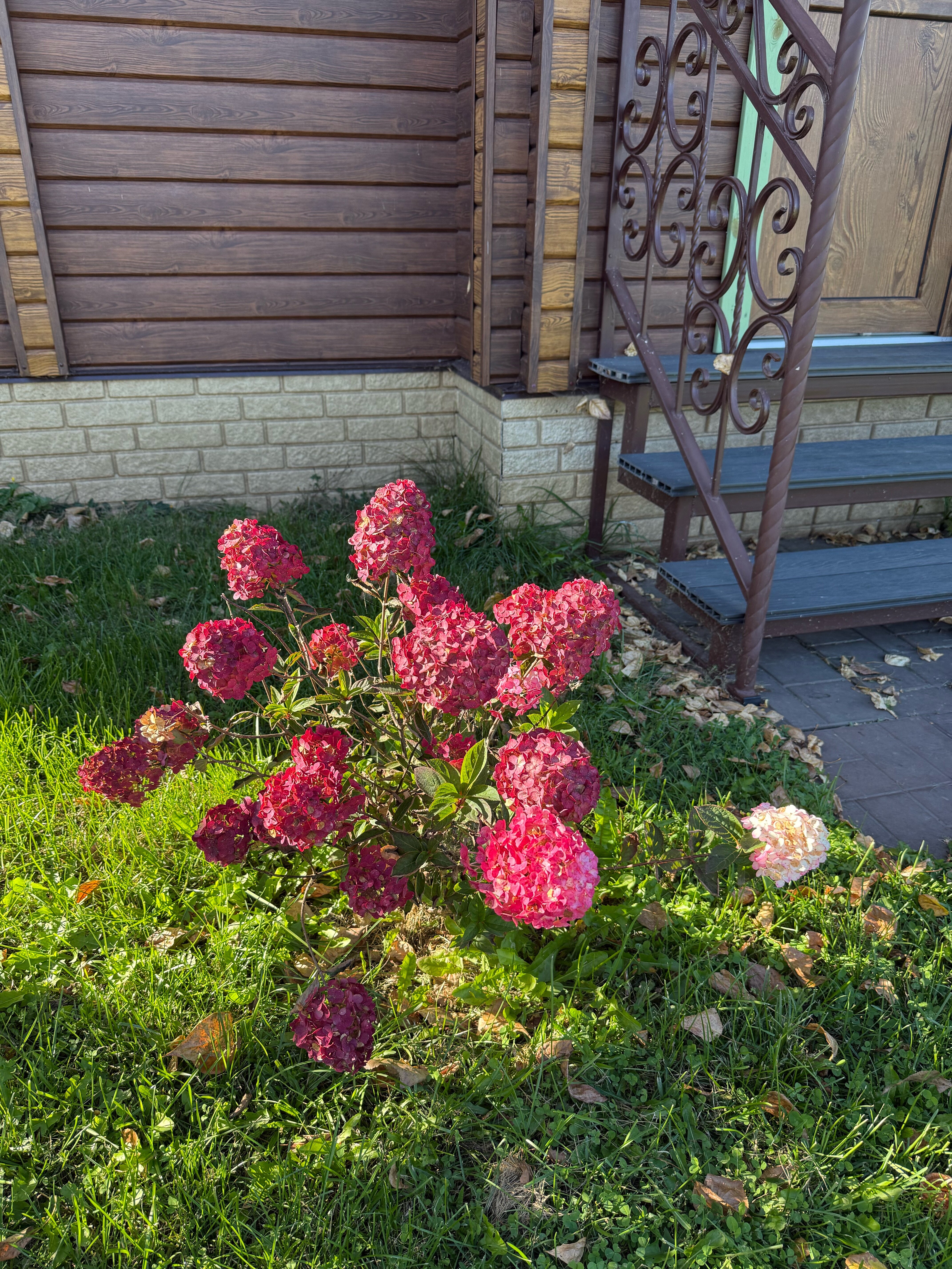 Фото Дивный дворик