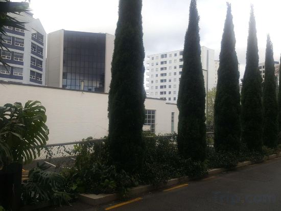 Фото Kiwi International Hotel