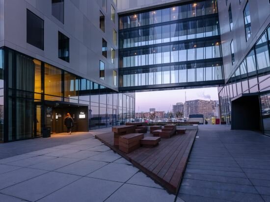 Фото The niu Fender