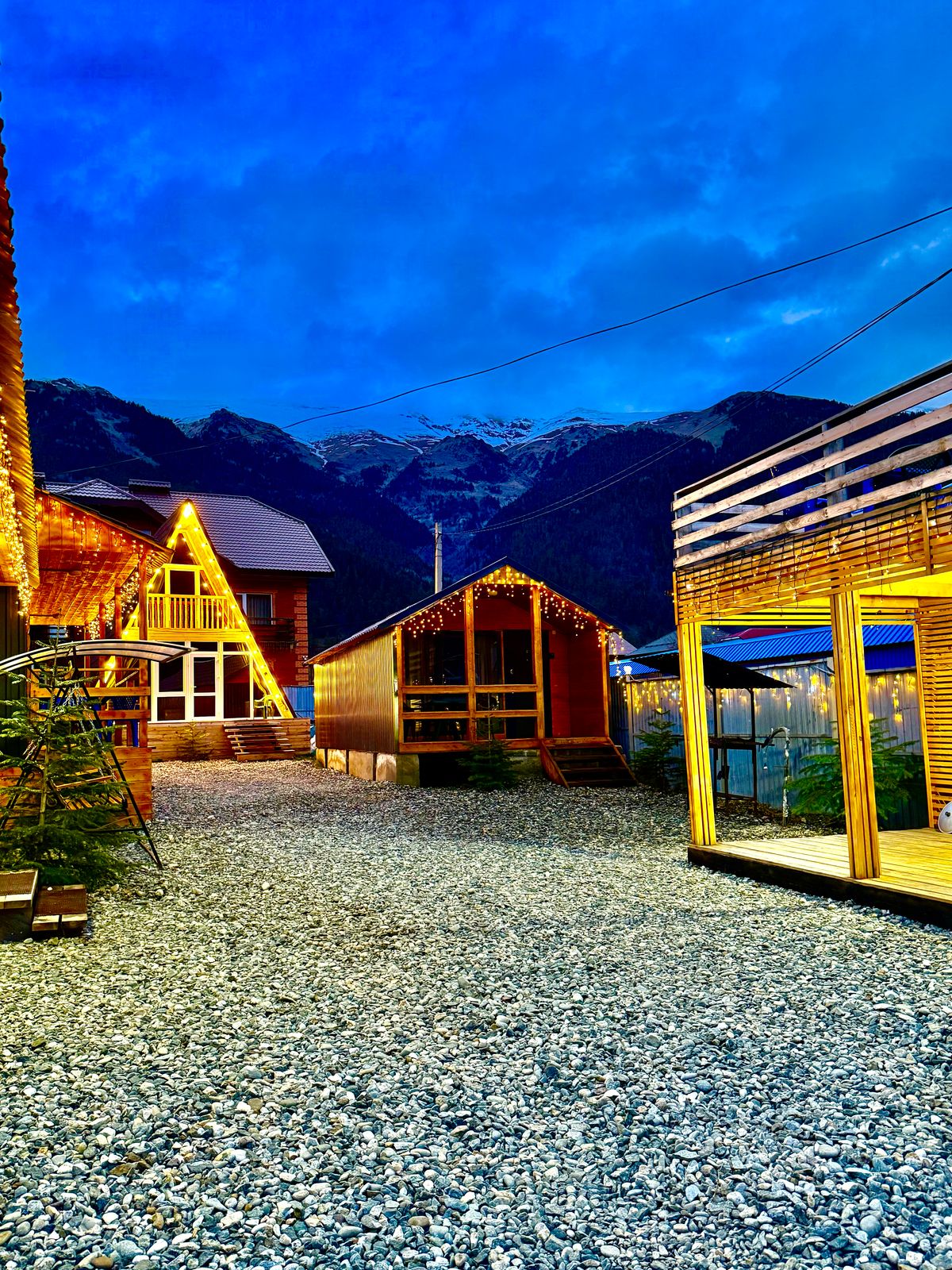 Фото Метелица