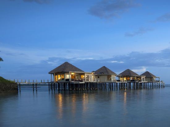 Фото Coconuts Beach Club Resort & SPA