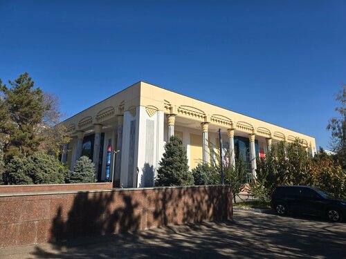 Onlayn telefoningizda porno videolar