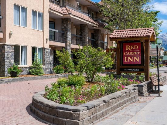 Фото Red Carpet Inn