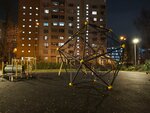 Playground (Moscow, Zelenograd, 8-y mikrorayon), playground