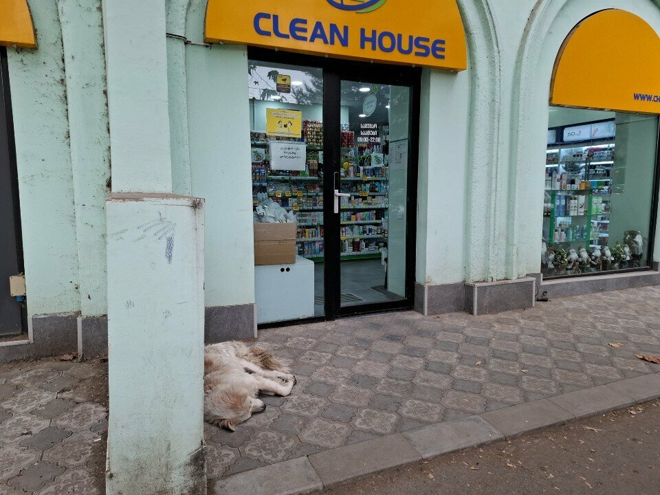 Home goods store Clean House, Tbilisi, photo
