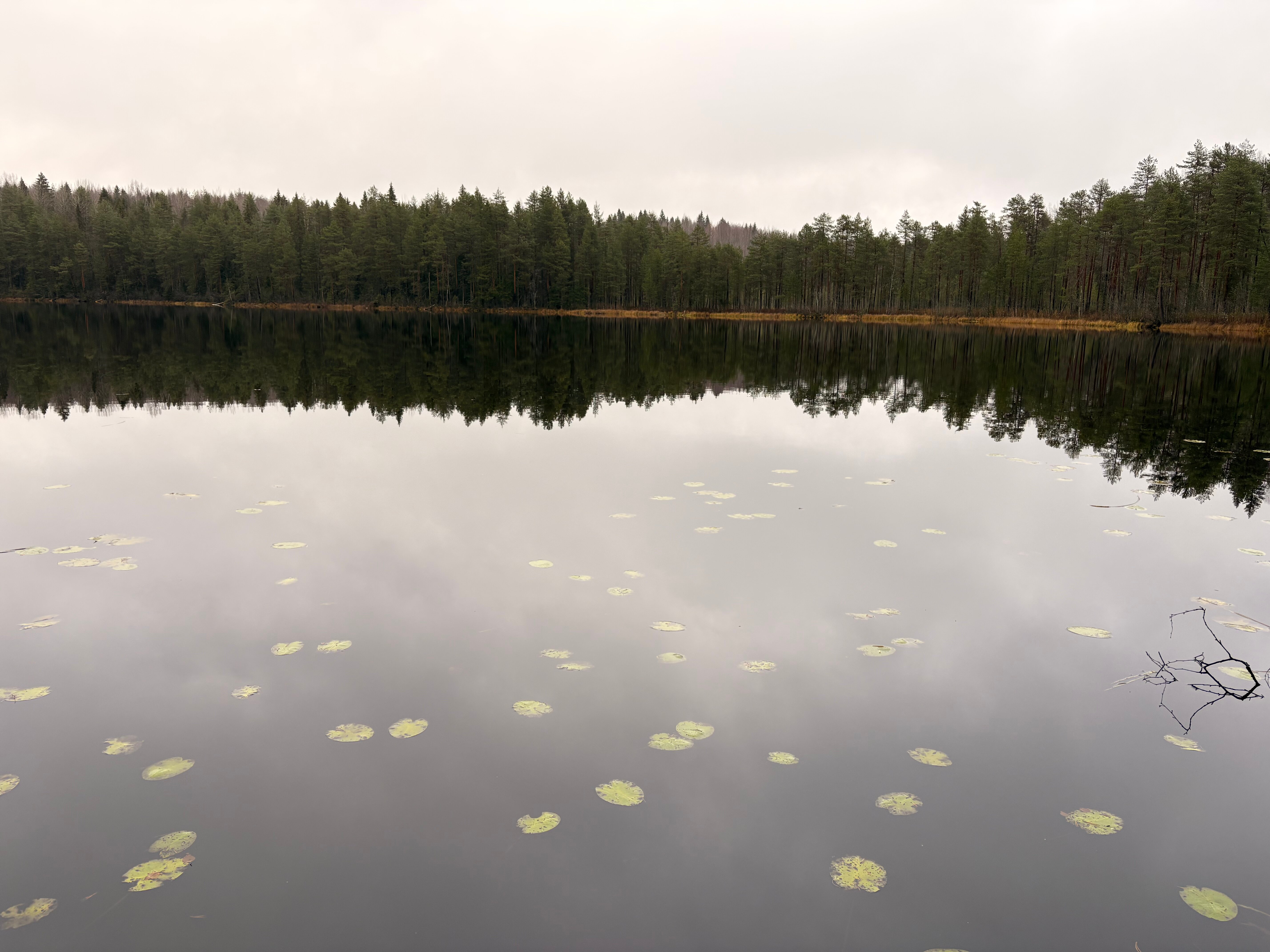 Фото Бухта Лапиковых