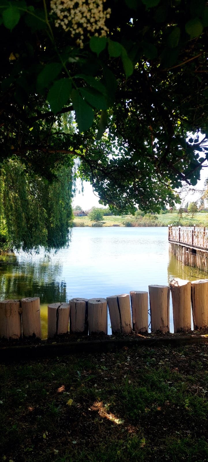 Фото Пять прудов