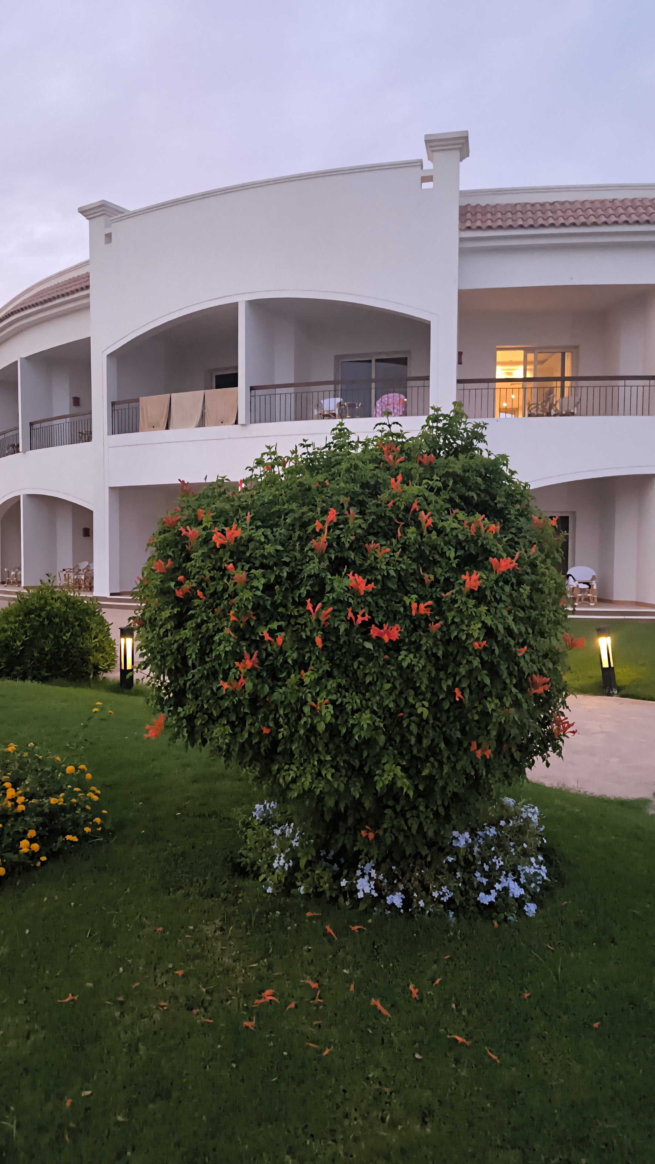 Фото Sunrise Alma Bay Resort