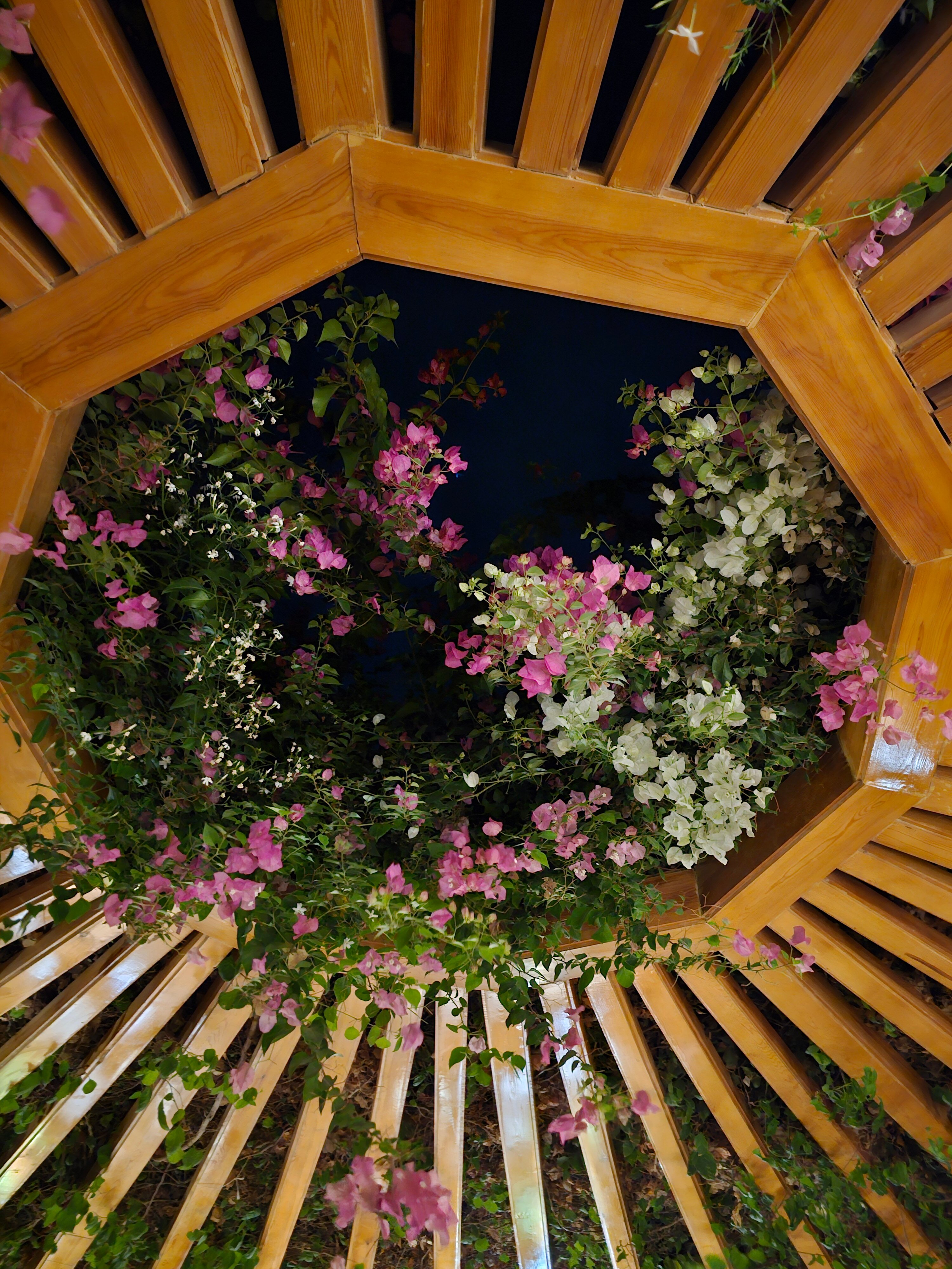 Фото Fort Arabesque Resort, SPA & Villas