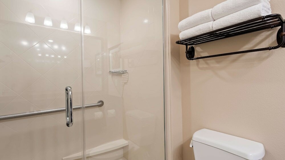 Фото Best Western Plus Hudson Hotel & Suites