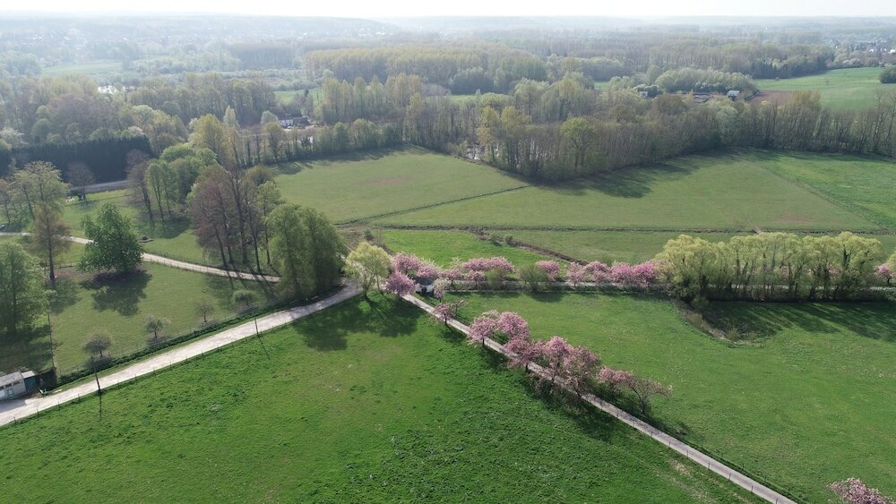 Фото B&b Baron's House Neerijse - Leuven