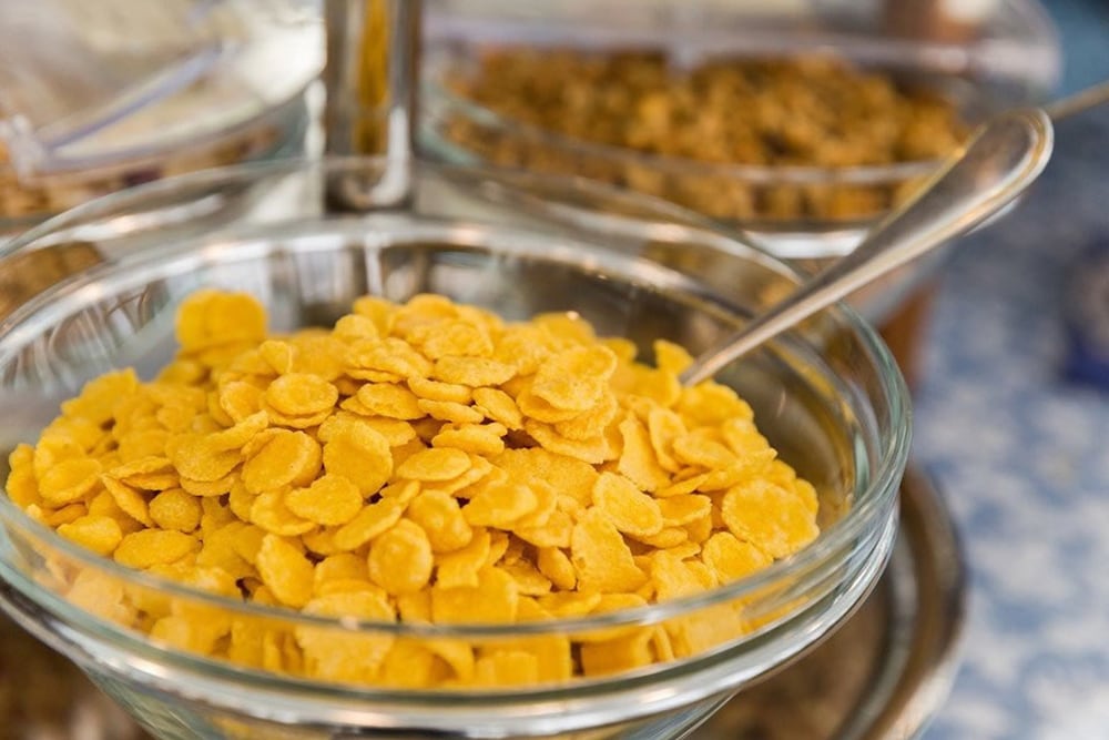 Фото Hotel Terminus & Plaza