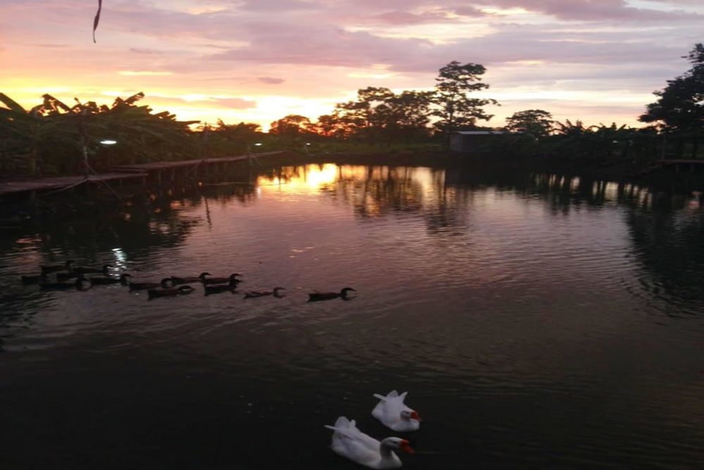 Фото Banter Resort