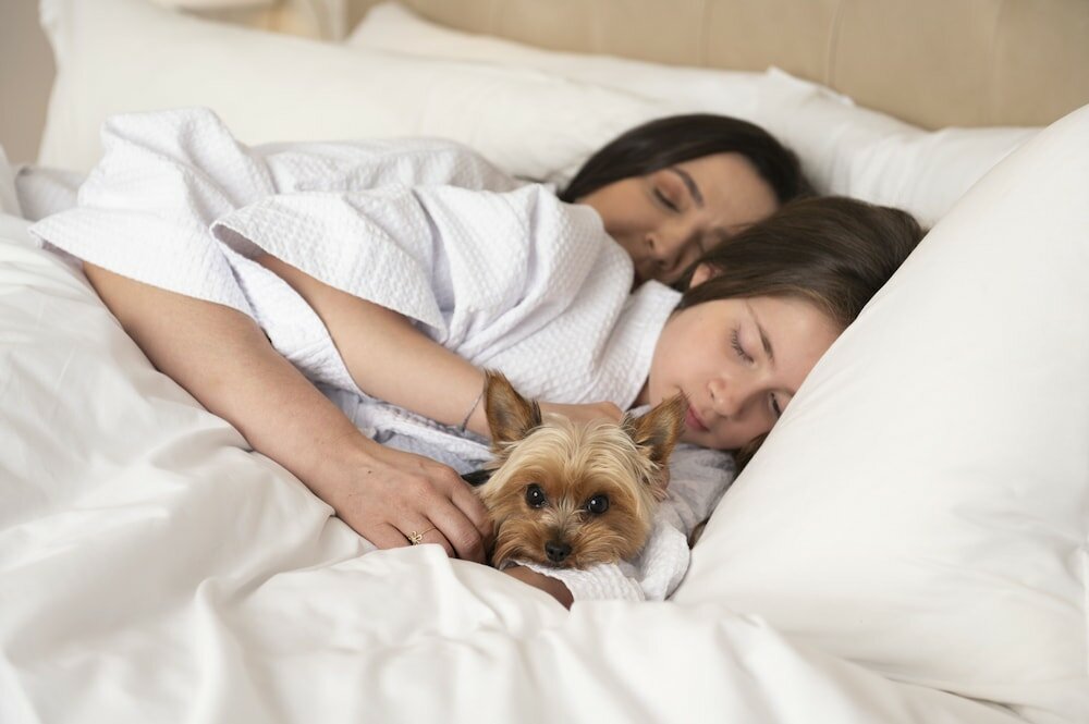 Фото Hilton Porto Alegre