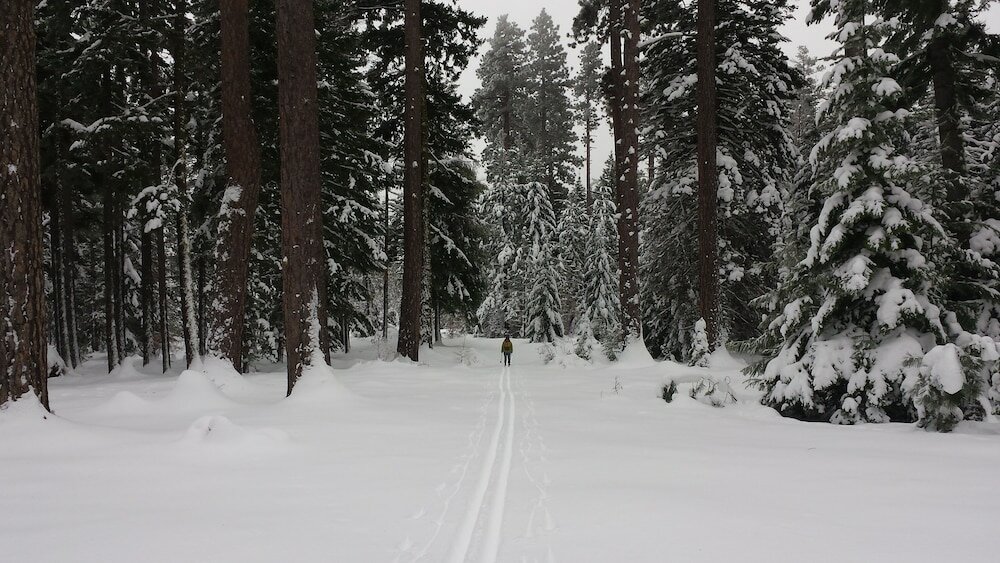 Фото Balch Hotel