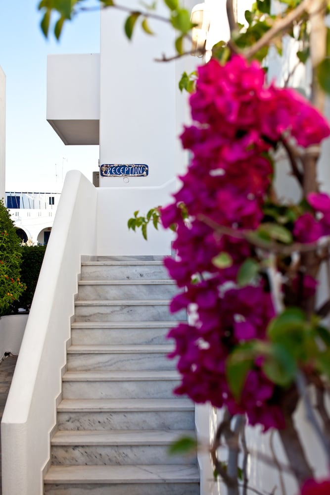 Фото Villa Anna Maria