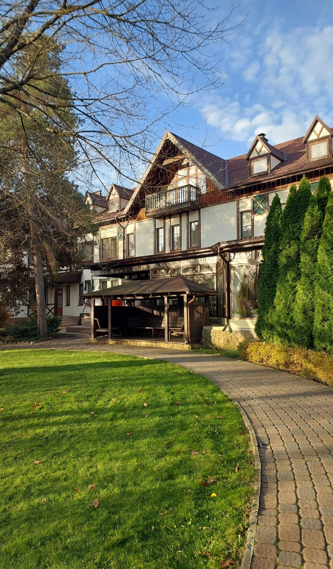 Фото Березки