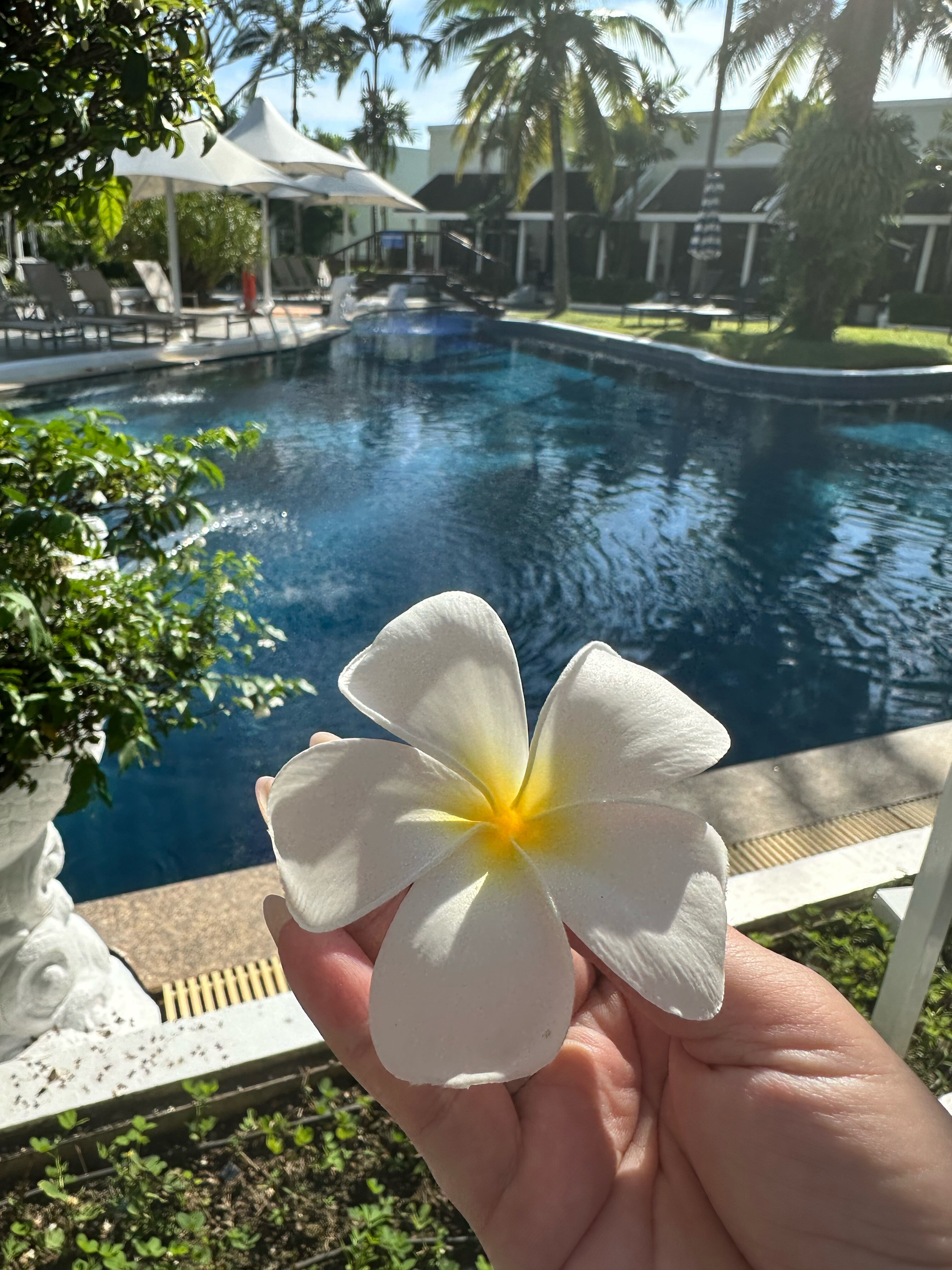 Фото Access Resort & Villas