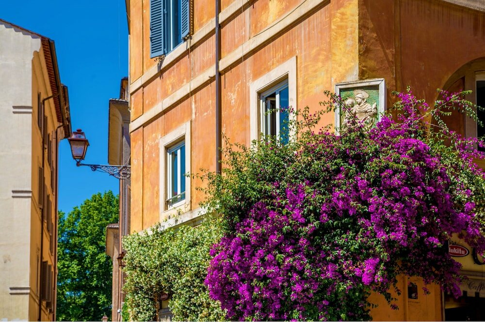 Фото Palazzo Medusa