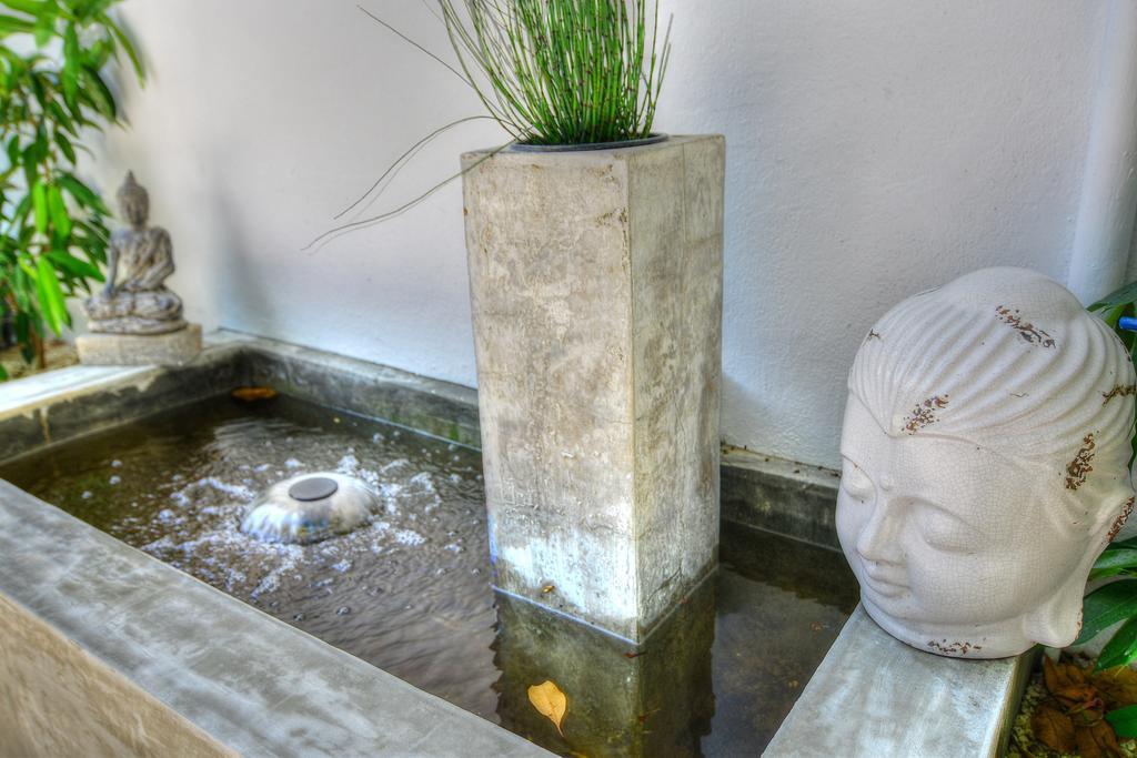 Фото Tres Palmas Inn