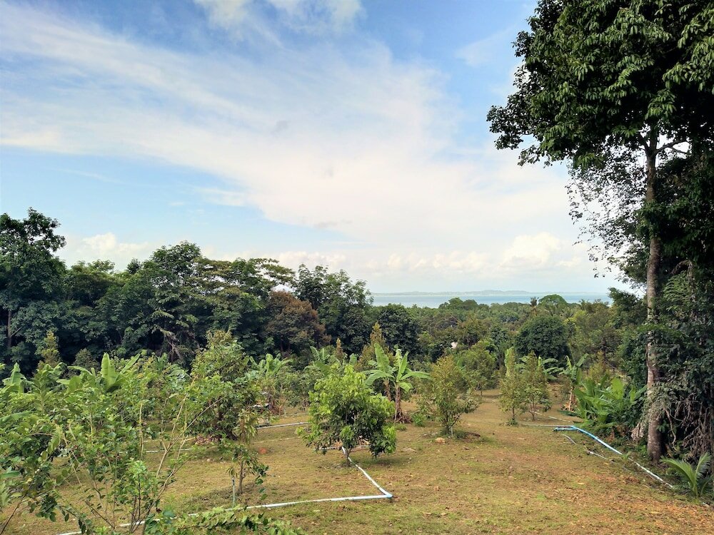 Фото Somphoch Garden