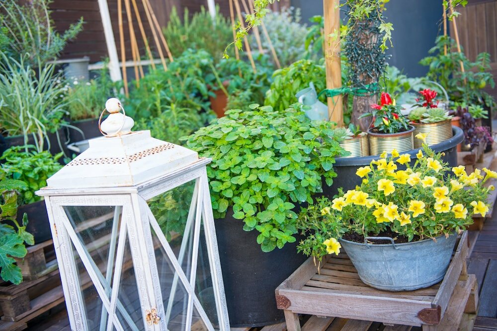 Фото Admiral Art Hotel