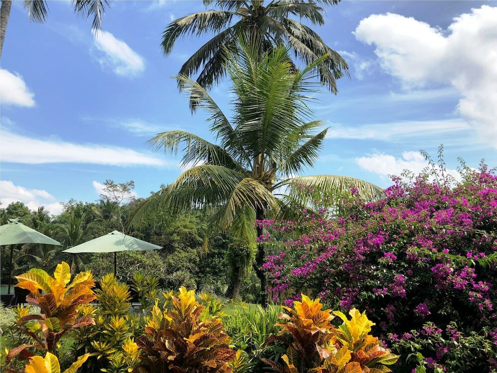 Фото Villa Semana Resort & SPA