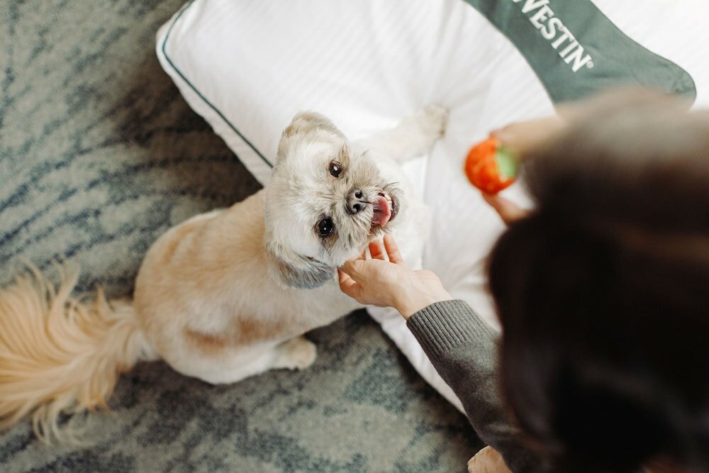 Фото The Westin New York at Times Square