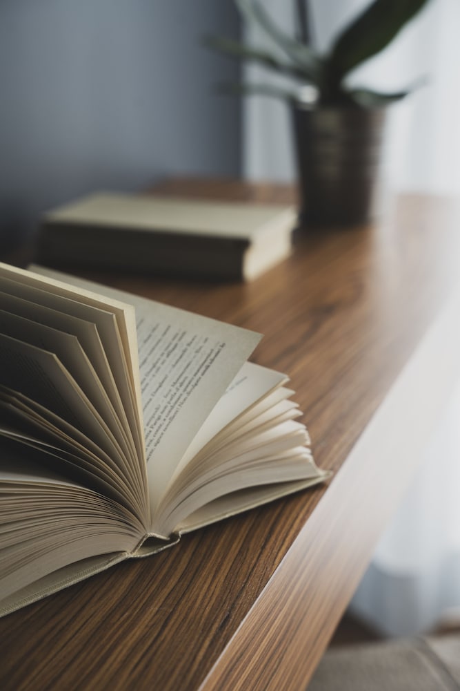 Фото The Regent Boutique Hotel & SPA