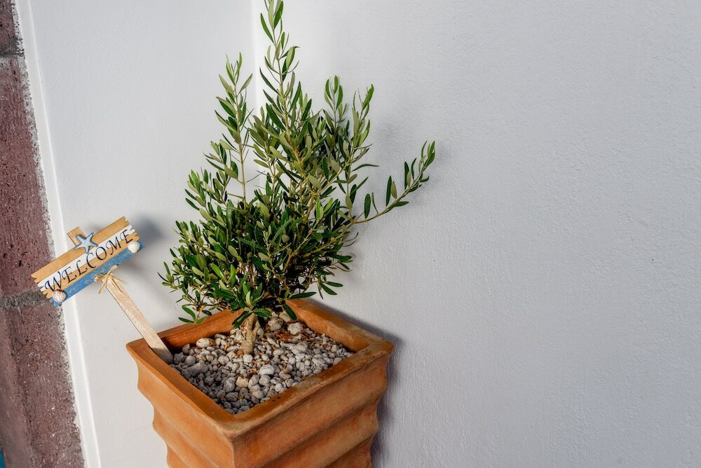 Фото Hotel Nikolas