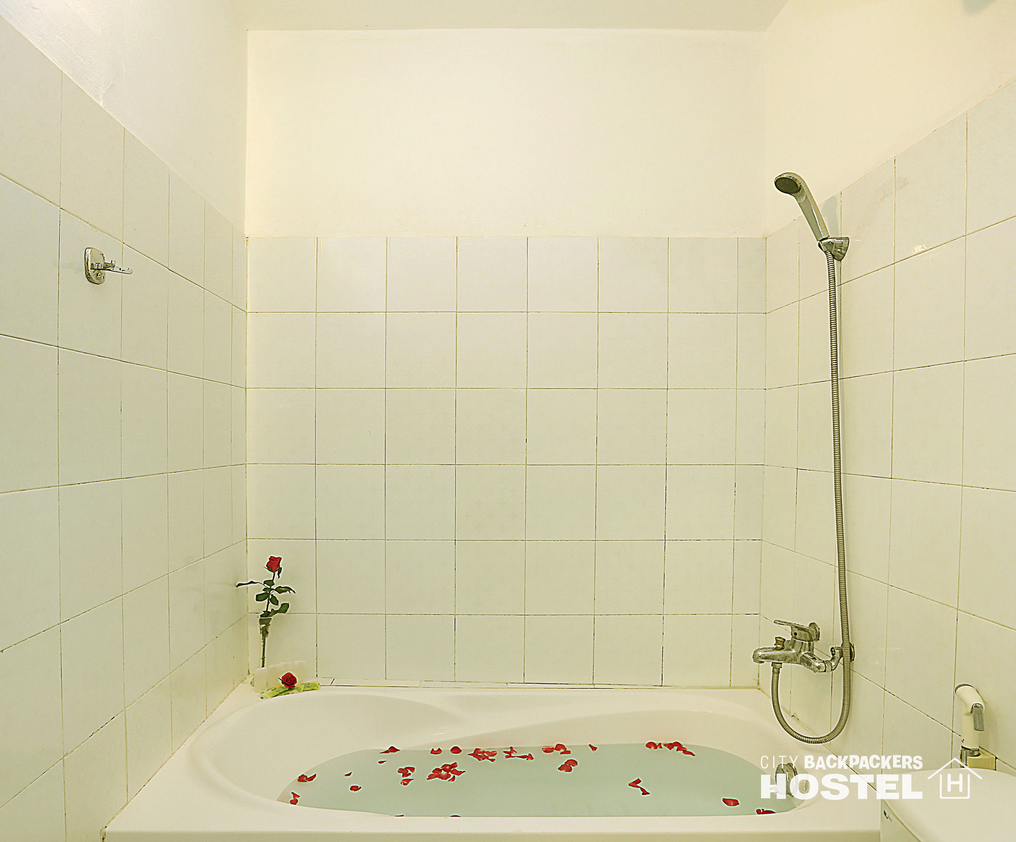 Фото Hanoi City Backpackers Hostel