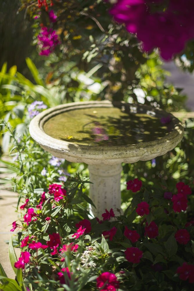 Фото The Last Word Constantia