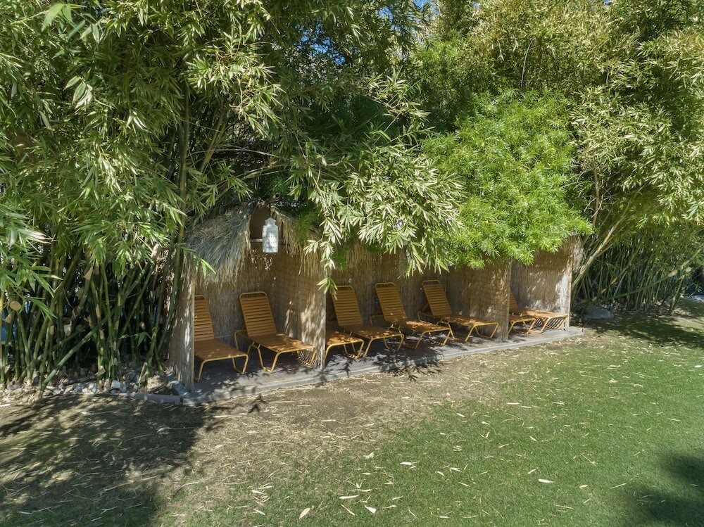 Фото Caliente Tropics Hotel