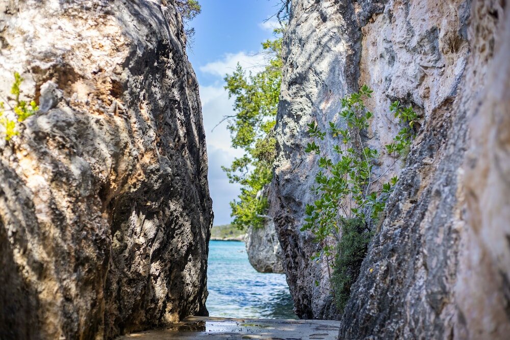 Фото Coral Estate Luxury Resort