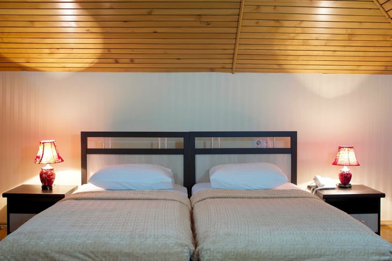 Фото Фламинго