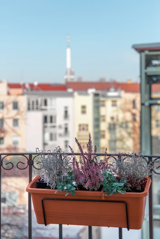 Фото Aparthotel Sibelius