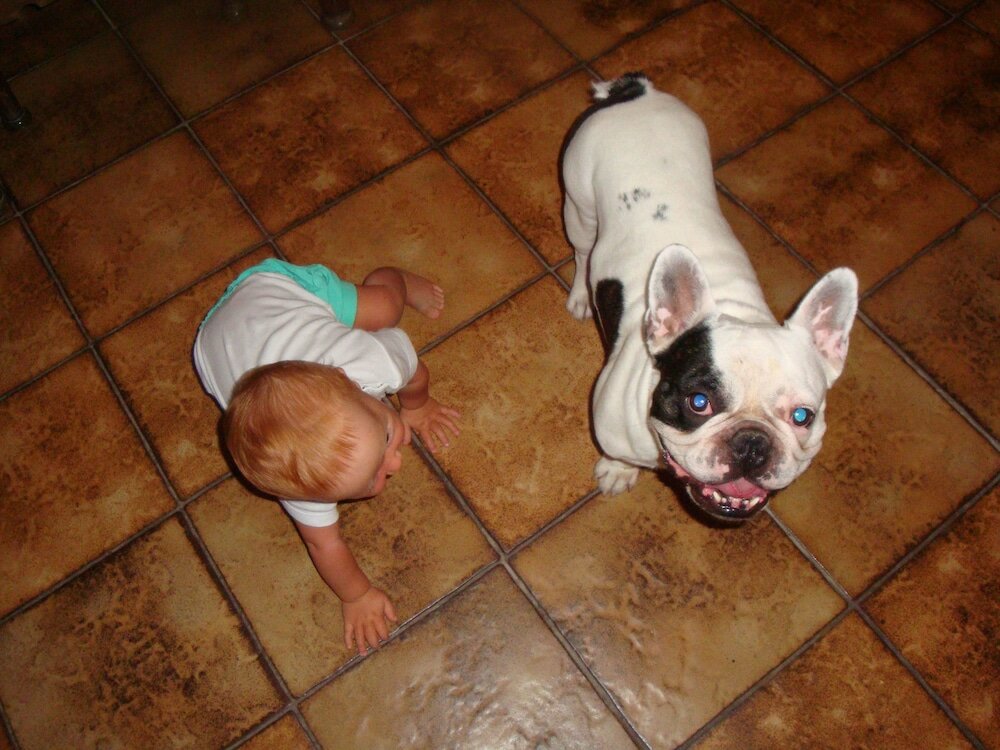 Фото Отель Oasis Hotel Bungalows Rodos - All Inclusive