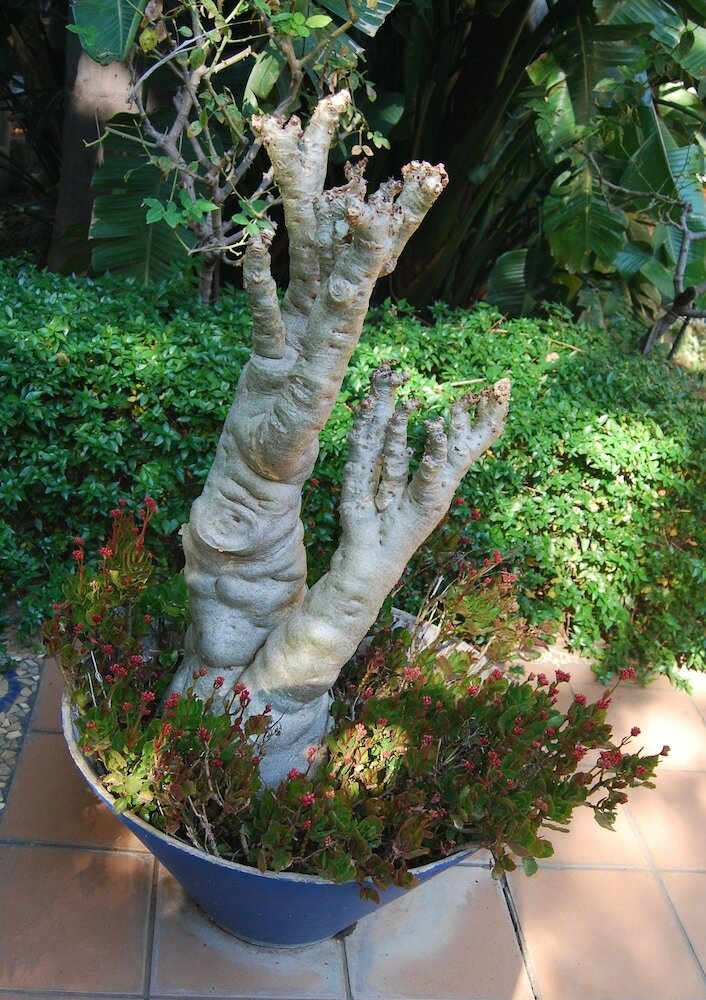 Фото The Wardrobe Guest House