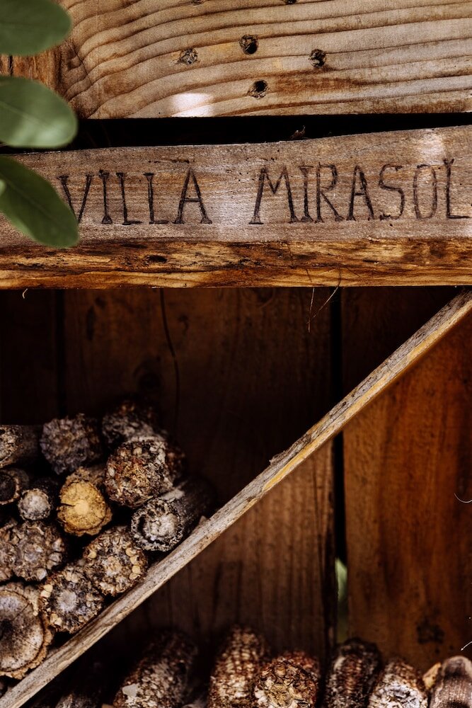 Фото Villa Mirasol